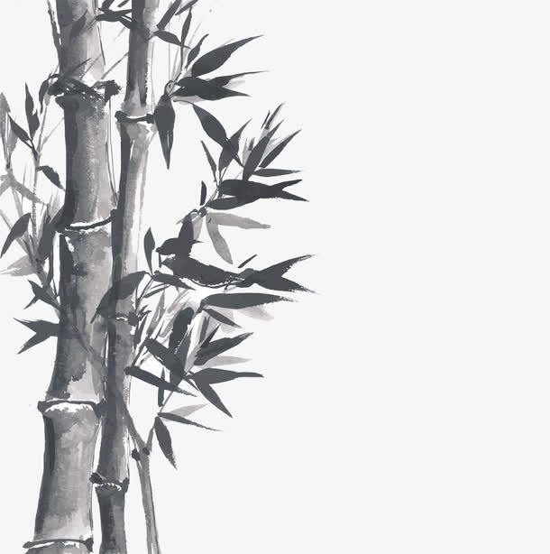 水墨竹子免抠