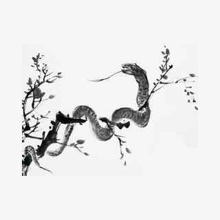 黑色水墨蛇盘旋在树枝上免抠