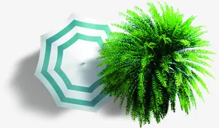 俯视太阳伞沙滩椰树素材免抠