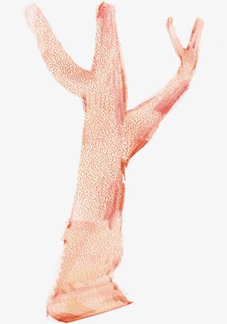 手绘粉色水彩树枝免抠