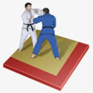 柔道二甲苯夏季奥运会免抠