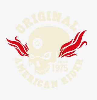 时尚骷髅印花设计矢量素材免抠