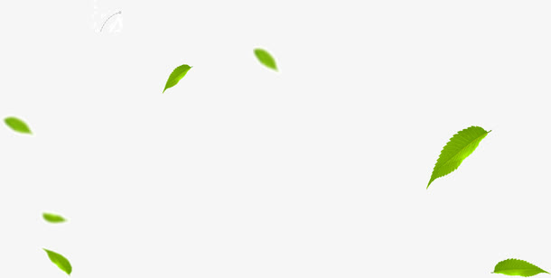 漂浮的树叶免抠