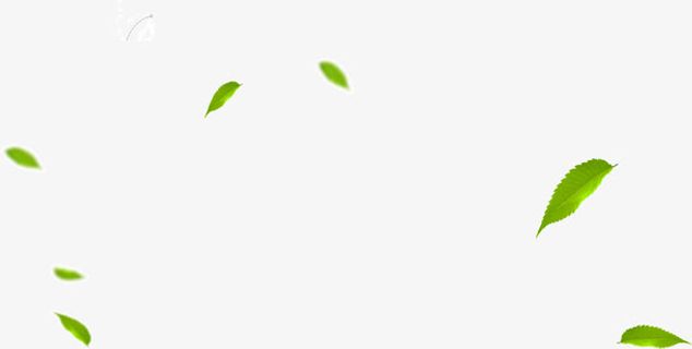漂浮的树叶免抠
