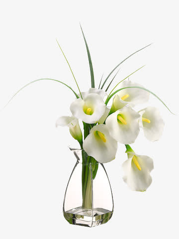 艺术造型 插花花艺免抠