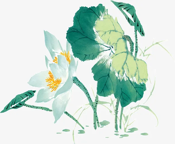 彩绘白色荷花免抠