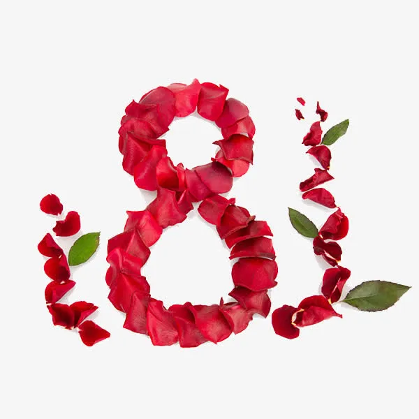 花瓣8免抠