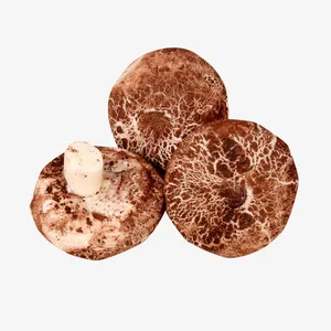 蘑菇包肉包子特色包子素材免抠