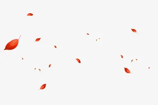 红色简约树叶漂浮素材免抠
