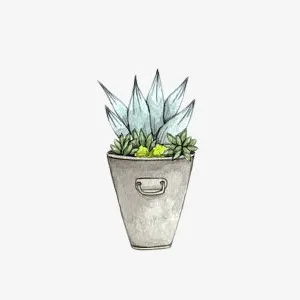 手绘文艺范绿植小花盆免抠