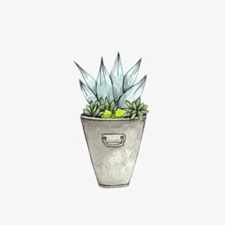 手绘文艺范绿植小花盆免抠