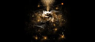 黑金花朵大气背景banner高清