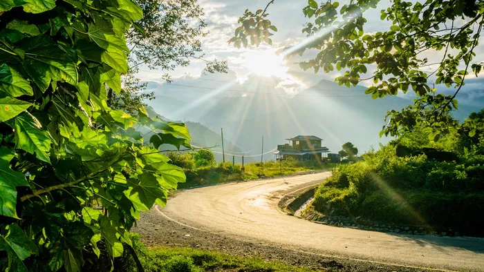 户外道路森林绿色植物平面广告高清