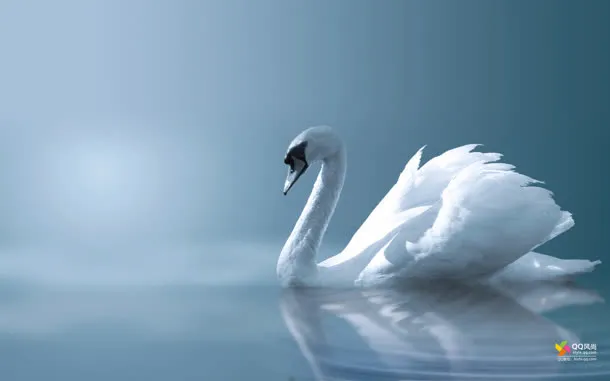 白鹤傲娇大屏背景