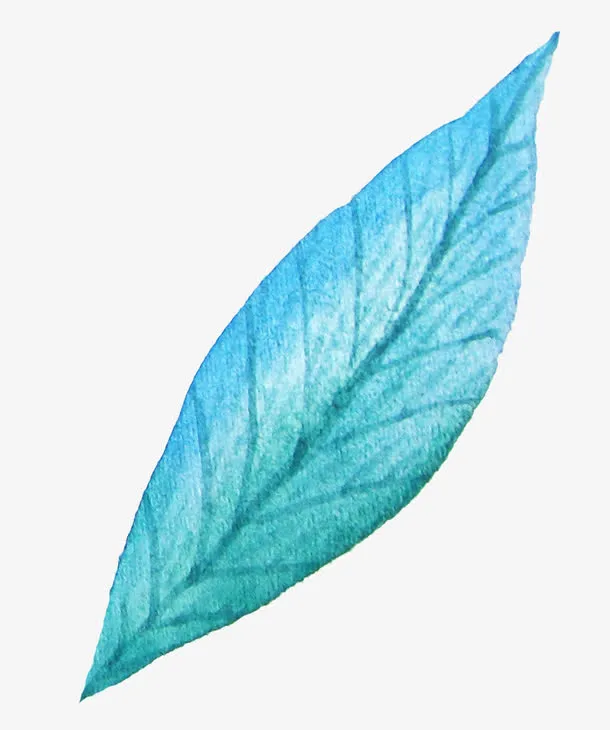 蓝色花瓣免抠