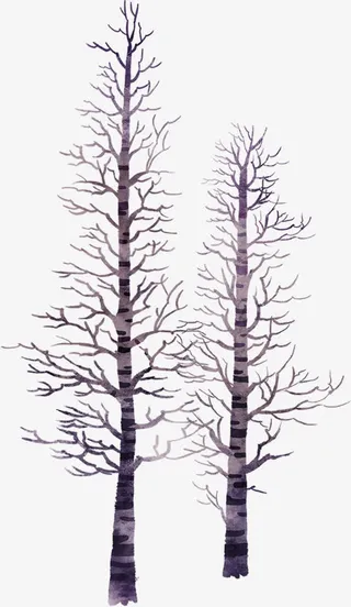 树枝手绘创意冬日免抠