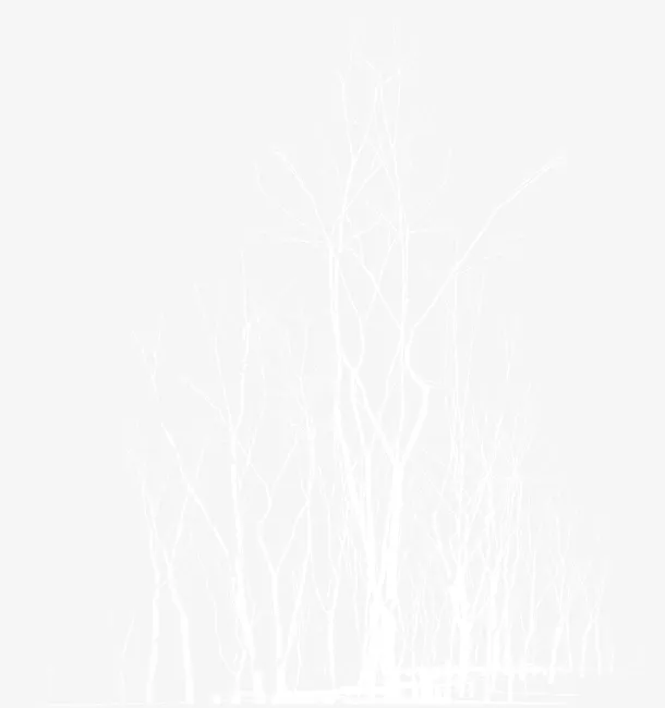 精美发光树杆效果免抠