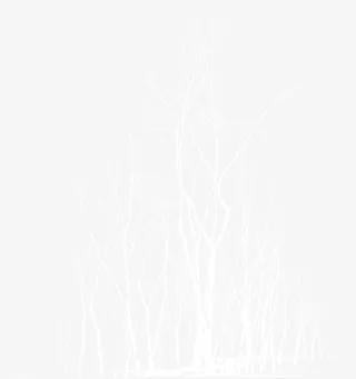 精美发光树杆效果免抠