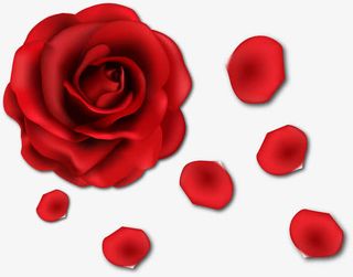 红色情人节玫瑰花边免抠