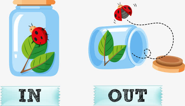 瓶子里的七星瓢虫免抠