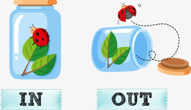 瓶子里的七星瓢虫免抠