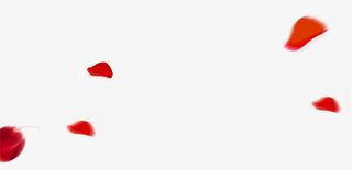 红色玫瑰花瓣漂浮素材免抠