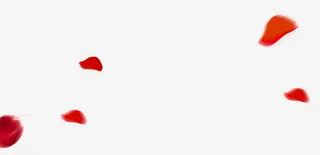 红色玫瑰花瓣漂浮素材免抠