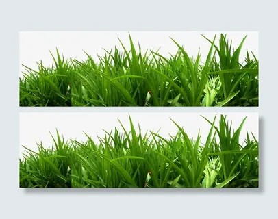 树叶环保草地美景免抠装饰植物元素 树叶环保草地美景免抠装饰植物元素