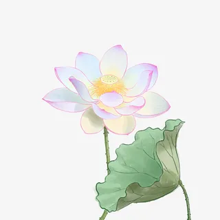 中国风工笔荷花荷叶素材免抠