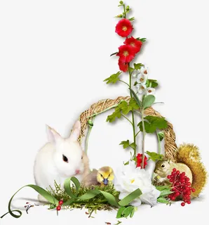 喇叭花边框免抠