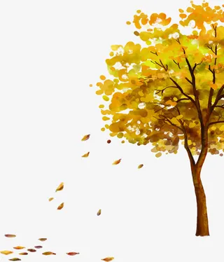 金秋黄色叶片大树免抠