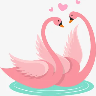 情人节亲密的天鹅免抠