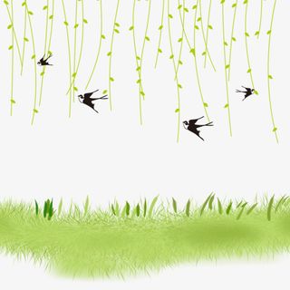 春季清明立春卡通燕子柳条手绘草免抠