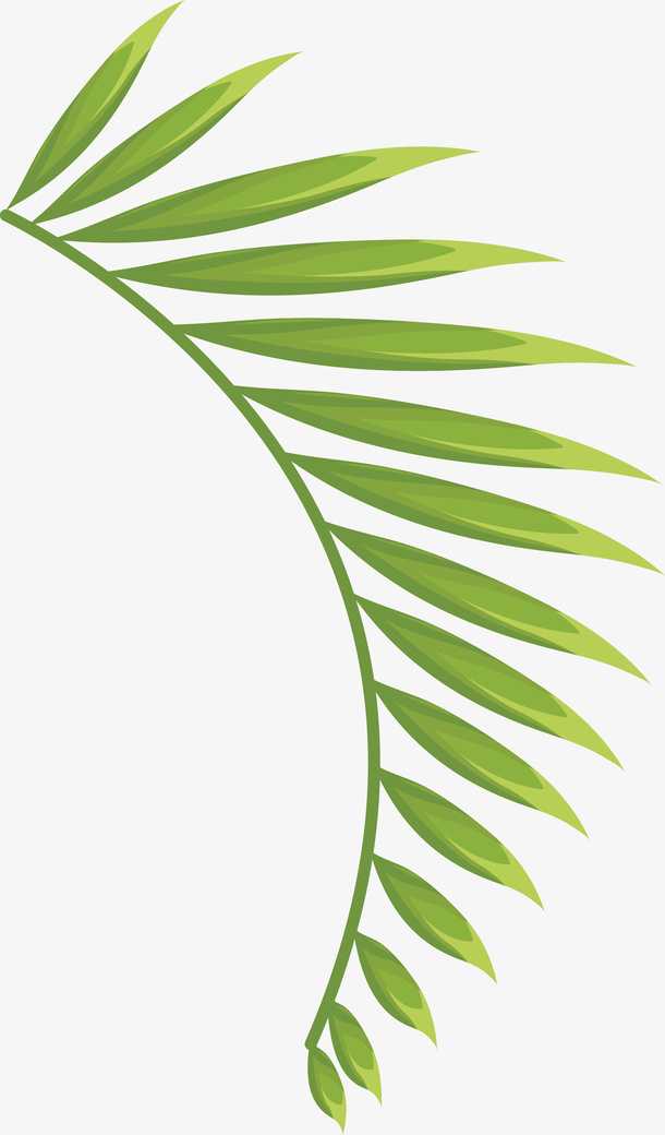 卡通棕榈叶植物图免抠