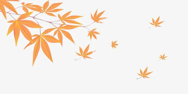 飘落的枫叶免抠