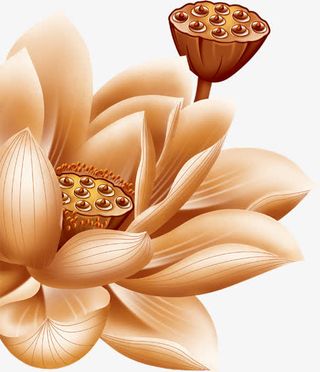 中秋节棕色莲花莲子免抠