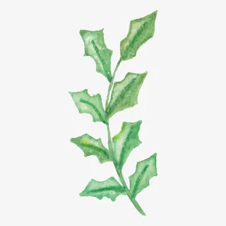 矢量花卉素材 卡通手绘树枝免抠