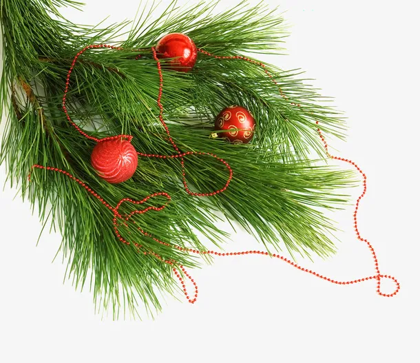 圣诞节松针免抠