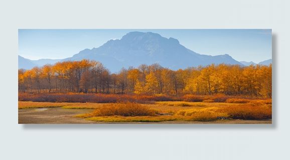 唯品会banner高清