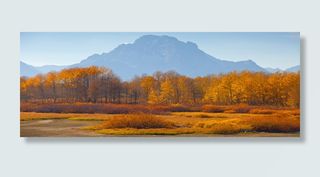 唯品会banner高清