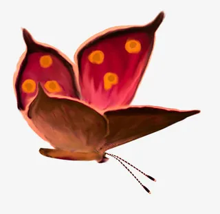 枯蝴蝶装饰素材免抠