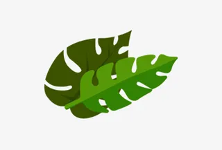 两边片阔叶植物免抠