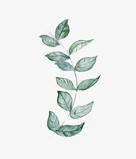 圣诞节手绘花纹素材免抠