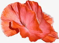 红色花瓣花朵纸质花朵免抠