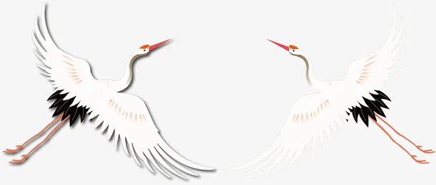 白鹤，仙鹤插图插画免抠