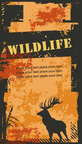 矢量复古名片模板免抠