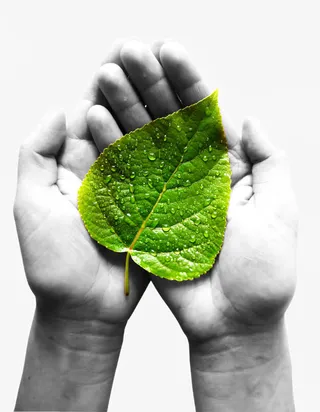 双手守护一片绿免抠