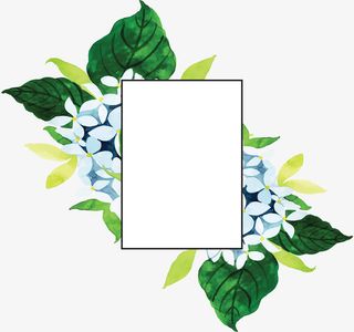 绿叶绣球花春天边框免抠装饰边框元素