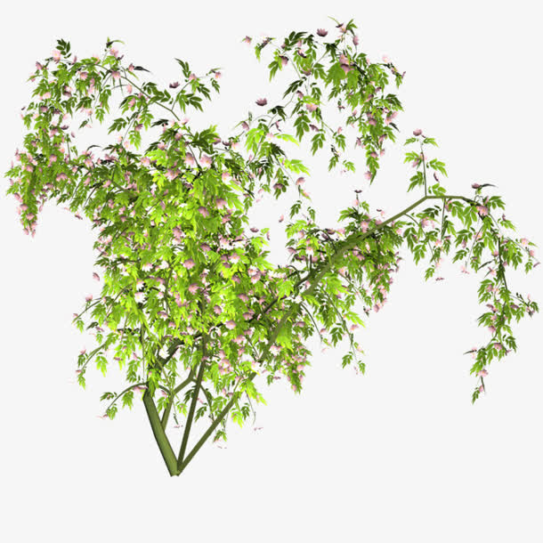 绿树叶粉花的树枝免抠