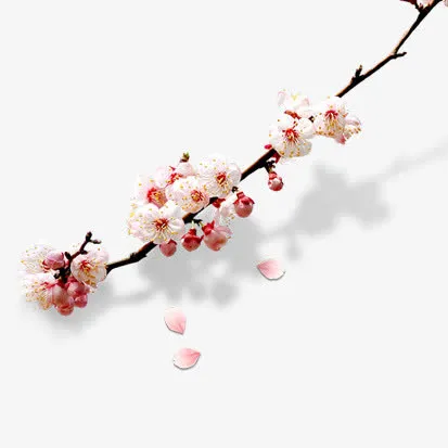 桃花免抠